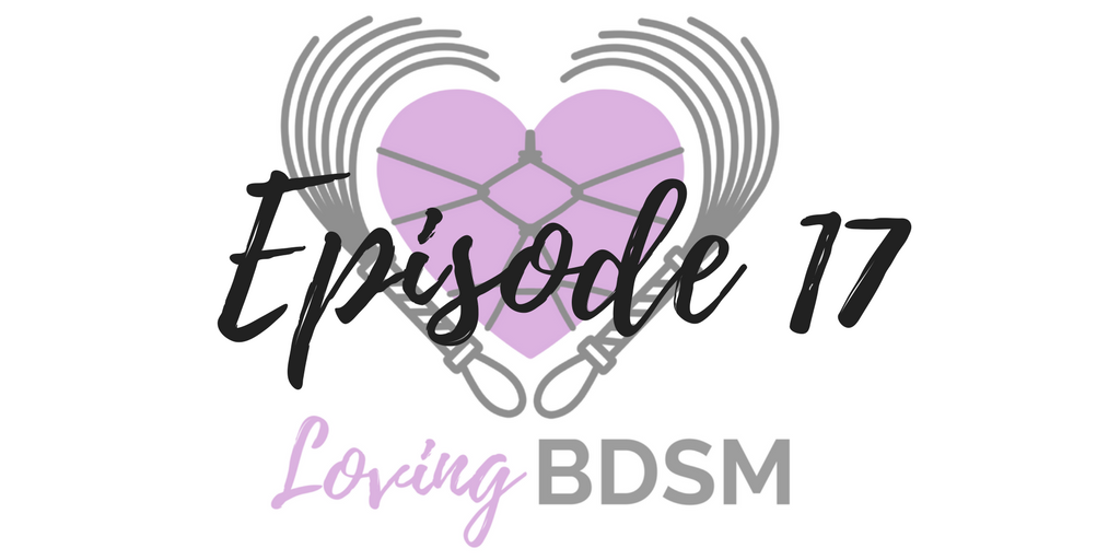 A Few of Our Favorite Sex Toys LB017