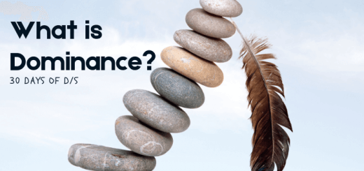 image of stack of stones being held up with a feather as a sign of control and power. Title says What is Dominance 30 Days of D/s