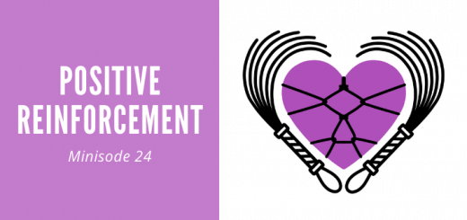 Loving BDSM minisode 24 on positive reinforcement